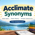 Best Acclimate Synonyms